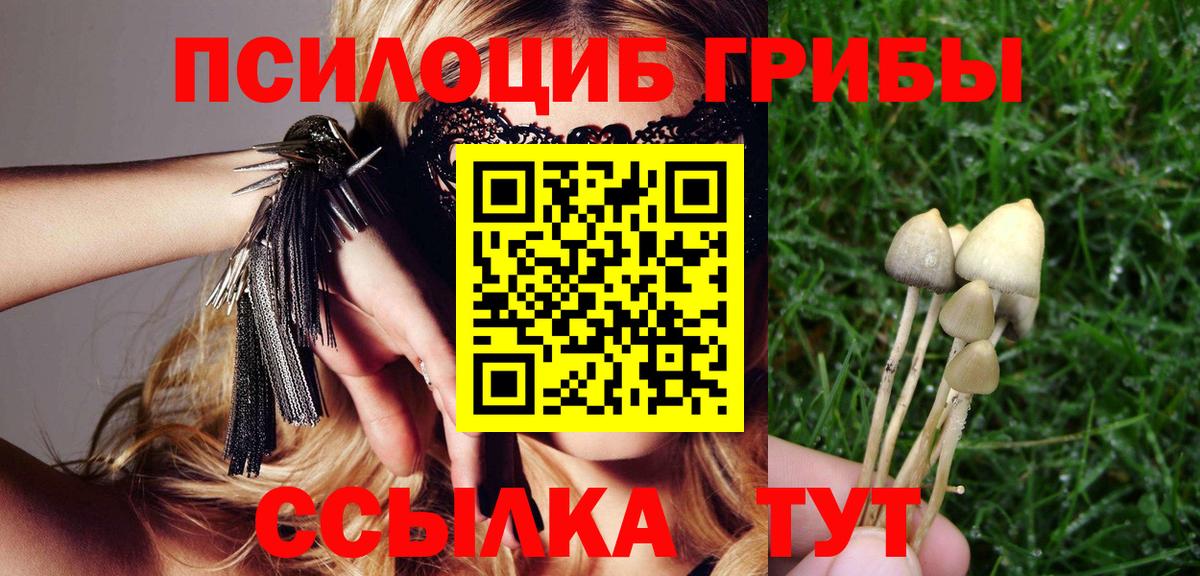 Лыткарино  Псилоцибиновые грибы ЛСД  хочу   Вход с VPN 